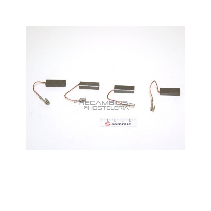 Escobillas Triturador Sammic TR/BN 230V 