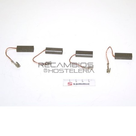 Escobillas Triturador Sammic TR/BN 230V 
