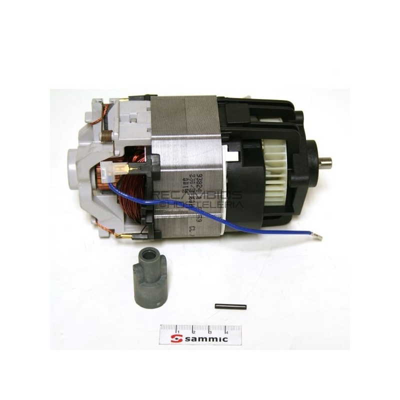 Motor 750w Triturador Sammic 230V