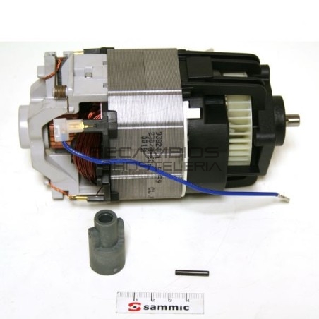 Motor 750w Triturador Sammic 230V
