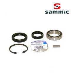 Rod. eje reduc. peladora patatas Sammic