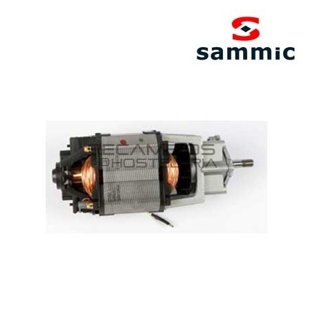 Motoreductor 230V M-5 para batidora BM5 Sammic