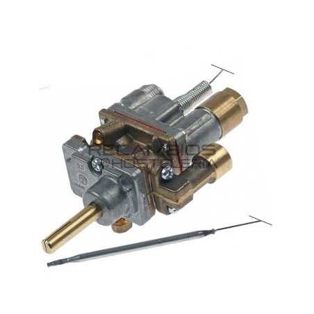 Termostato de gas Máx 300°C entrada gas de tubo ø21mm 