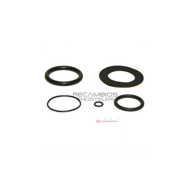 Conjunto de juntas acopl. calderín, filtro Conjunto de juntas acopl. calderín, filtro