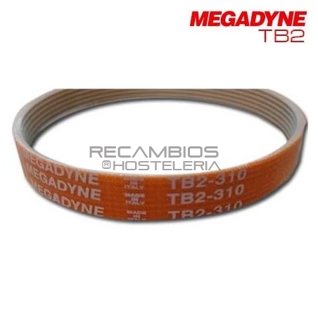 Correa TB2 310 x 10 mm