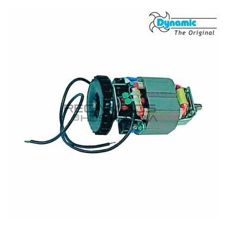 Motor completo para triturador Dynamix 190