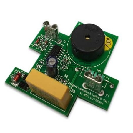 Placa electrónica para temporizador FM