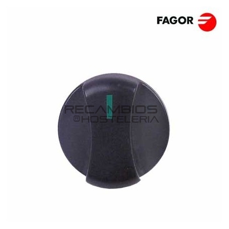 Mando Interruptor Fagor FI-30