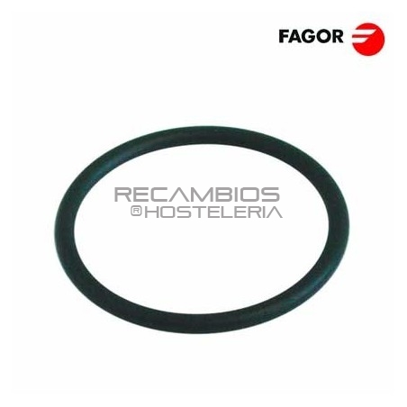 Junta resistencia Ø62x5mm Fagor FI-30