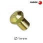 Inyector Ø1,1 mm GLP M10x1 Fagor