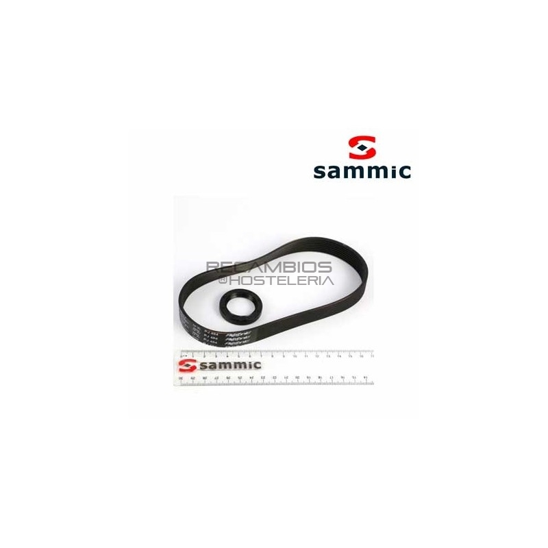 Correa + retén corta hortalizas Sammic