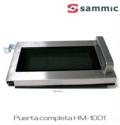 Recambio puerta microondas puerta