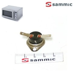 Termostato magnetrón Microondas HM-1001
