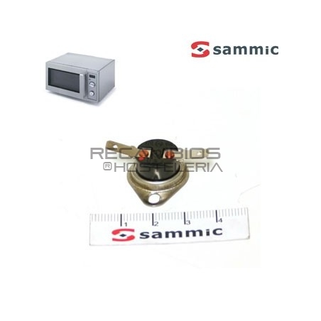 Termostato magnetrón Microondas HM-1001