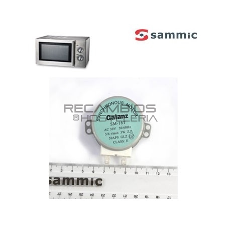 Motor plato giratorio Microondas HM-910