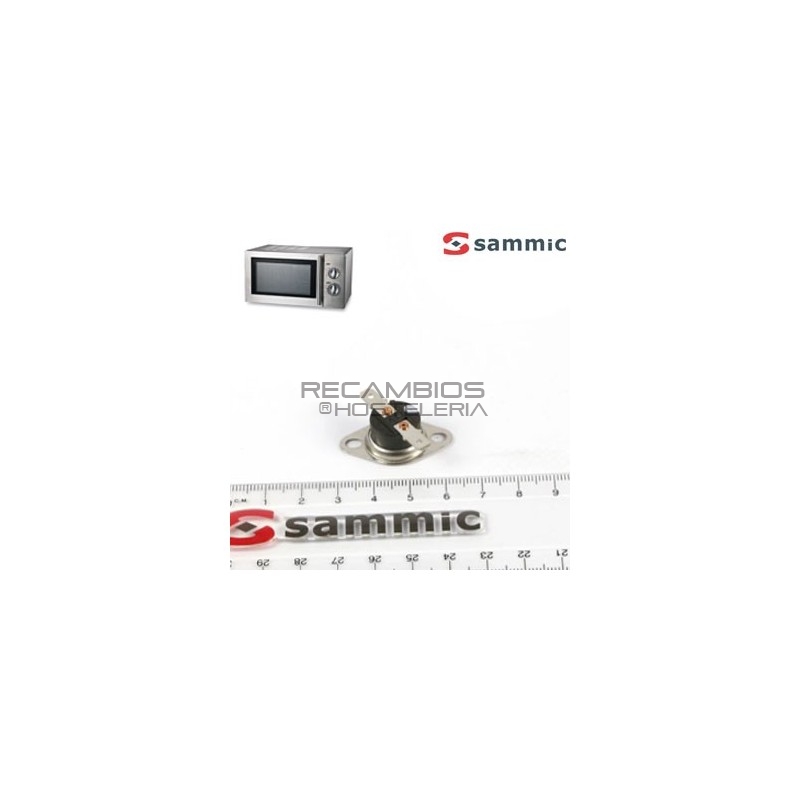 Termostato magnetrón Microondas HM-910
