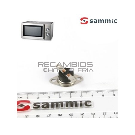 Termostato magnetrón Microondas HM-910