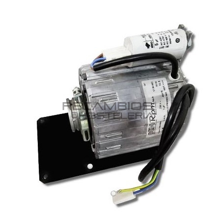 Motor para cafetera Futurmat mod. Rimini