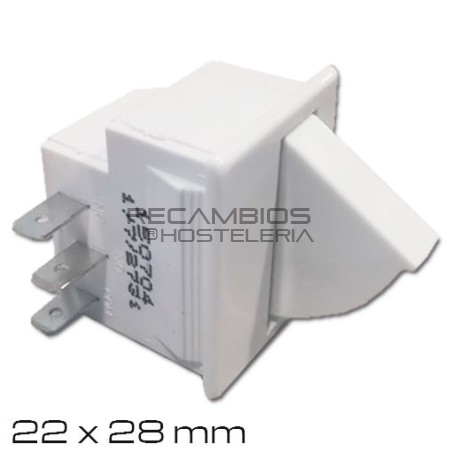 Interruptor puerta nevera