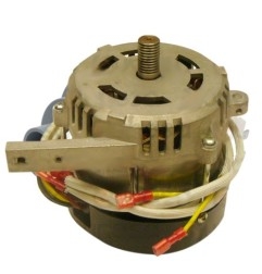 Motor Cortadora SXE 300
