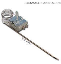 Termostato Grill 60ºC - 250ºC