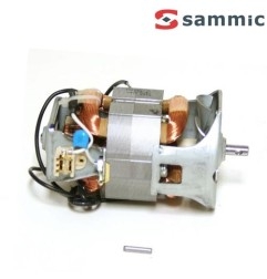 Motor+escobillas Sammic TR-200/250