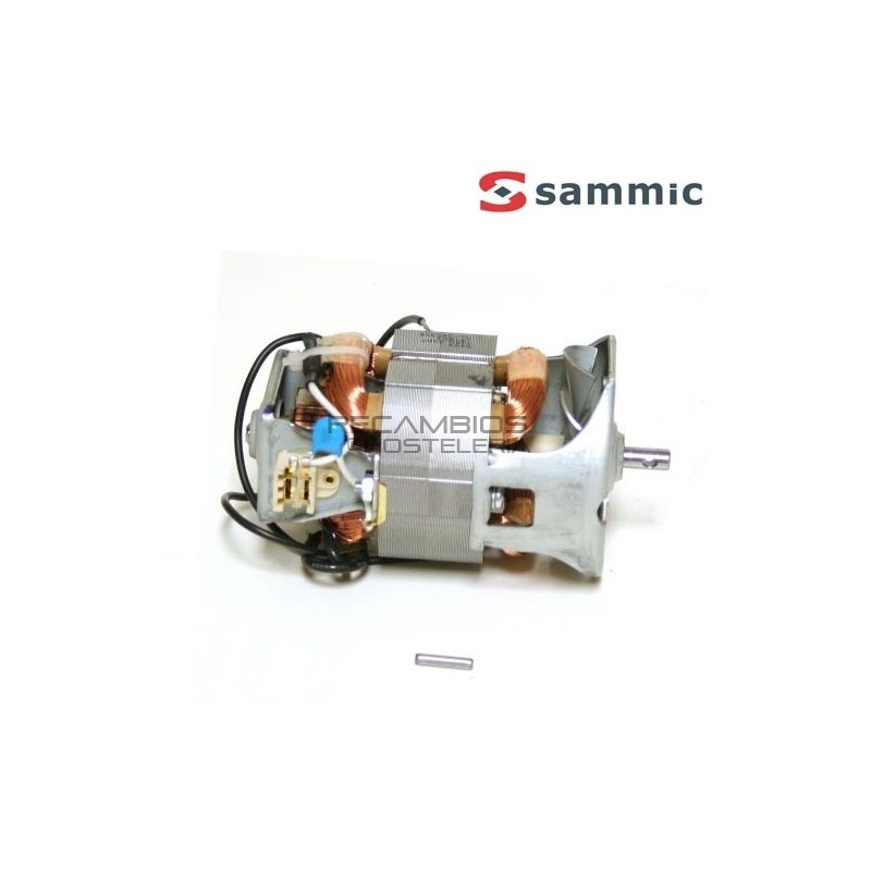 Motor + escobillas Sammic TR-200/250