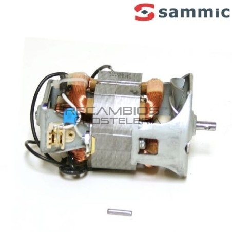 Motor+escobillas Sammic TR-200/250