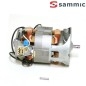 Motor + escobillas Sammic TR-200/250