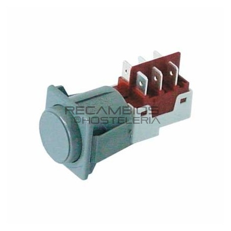 Interruptor pulsador 250V 16A 2CO Sammic