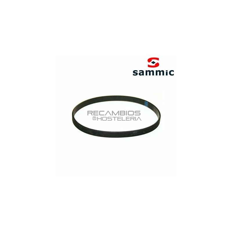Correa Poly-V J-6 508 Sammic