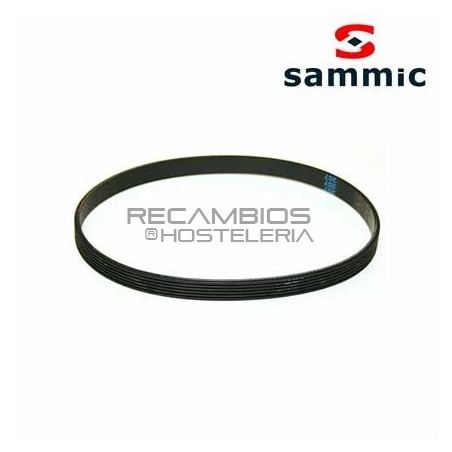 Correa Poly-V J-6 508 Sammic