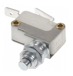 Microinterruptor Horeca