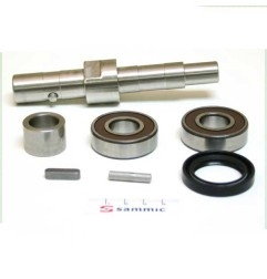 Eje & rodamientos Cortadora Hortalizas CA-400