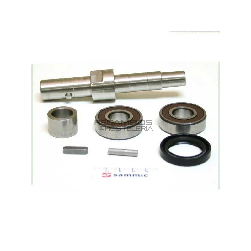 Eje & rodamientos Cortadora Hortalizas CA-400