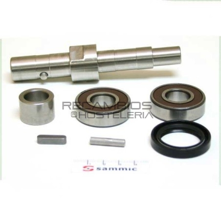 Eje & rodamientos Cortadora Hortalizas CA-400