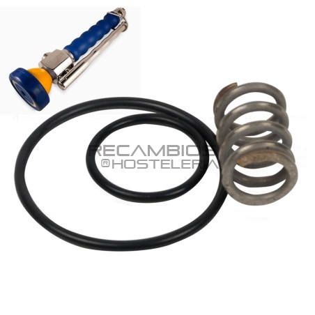 Juego de muelle y juntas para piña de grifo ducha