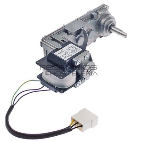 Motor reductor Granizadora Eurofred / CARPIGIANI