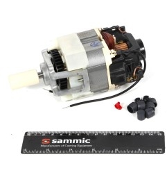 Recambio del motor 23/5-6/1 Sammic