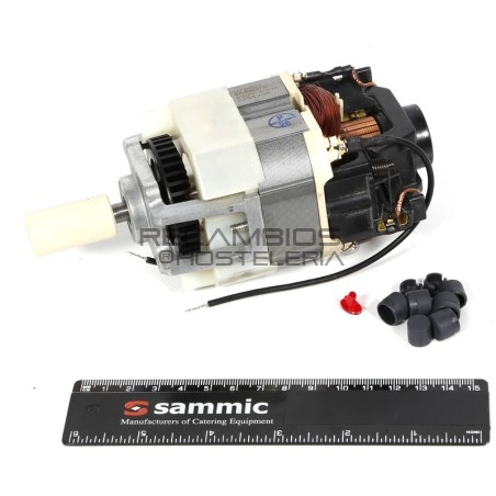 Recambio del motor 23/5-6/1 Sammic